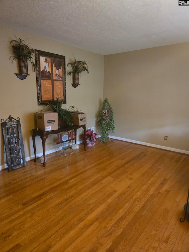 empty room featuring light wood-type flooring and a textured ceiling