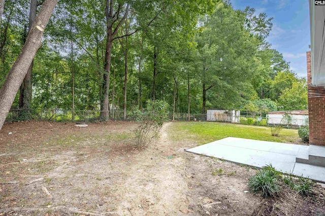 view of yard with a patio