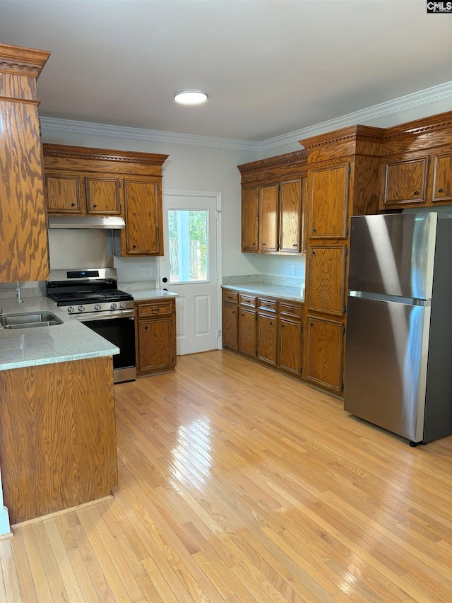 kitchen featuring ornamental molding, sink, light hardwood / wood-style floors, and appliances with stainless steel finishes