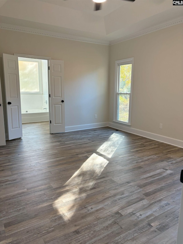 empty room with a wealth of natural light, dark hardwood / wood-style flooring, and ceiling fan