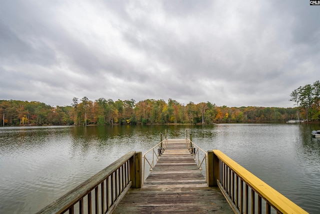 dock area with a water view