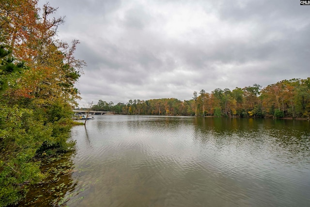 property view of water