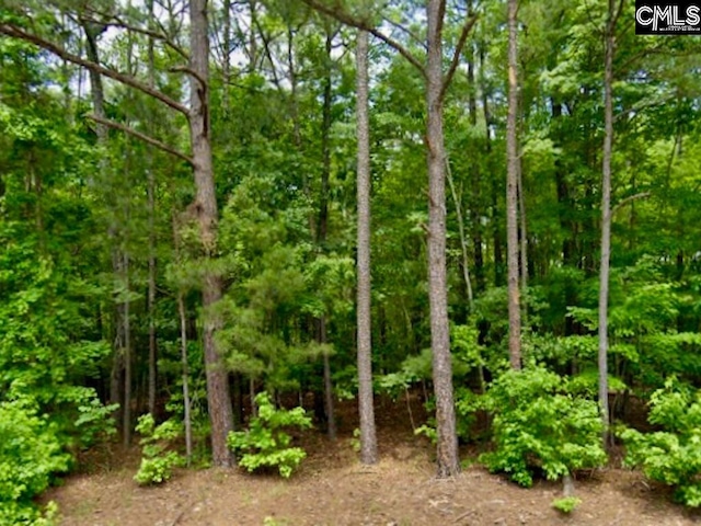 2390 Baron Dekalb Rd, Camden SC, 29020 land for sale