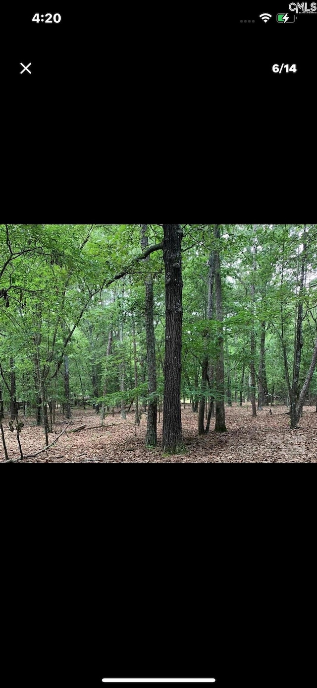 Listing photo 3 for TBD Flat Creek Rd, Kershaw SC 29067