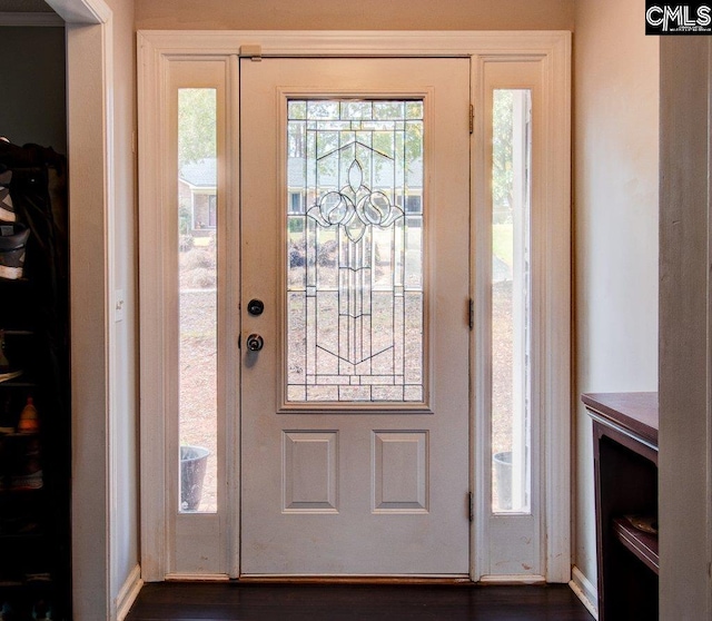 entrance foyer with dark hardwood / wood-style flooring