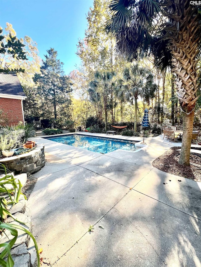 view of swimming pool with a patio