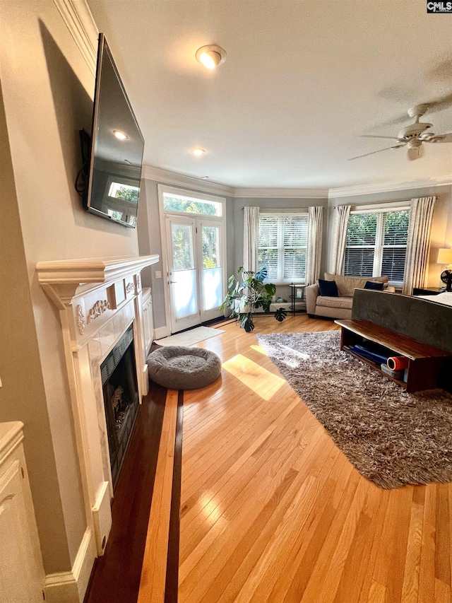 living room with hardwood / wood-style floors, ceiling fan, and crown molding