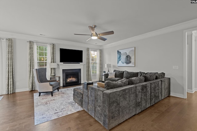 living room featuring crown molding, ceiling fan, and dark wood-type flooring