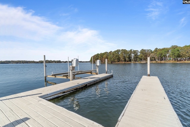 dock area with a water view