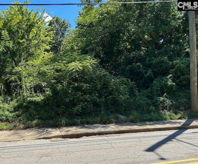 1811 Vincent St, Newberry SC, 20108 land for sale