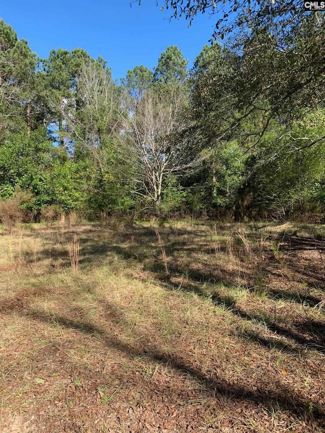 835 Russell St, Batesburg SC, 29006 land for sale