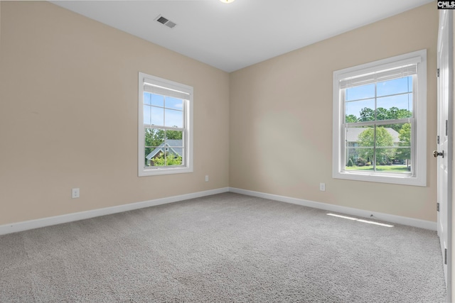 carpeted spare room featuring a healthy amount of sunlight