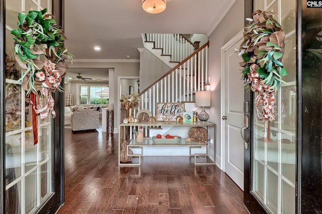 foyer with dark hardwood / wood-style floors, ceiling fan, and crown molding