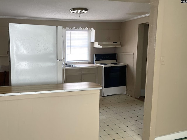 406 Pine St, Darlington, SC 29532 - kitchen featuring white appliances, under cabinet range hood, light flooring, a sink, and light countertops