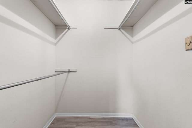 walk in closet featuring hardwood / wood-style floors