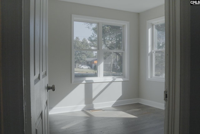 interior space with dark hardwood / wood-style flooring and a healthy amount of sunlight