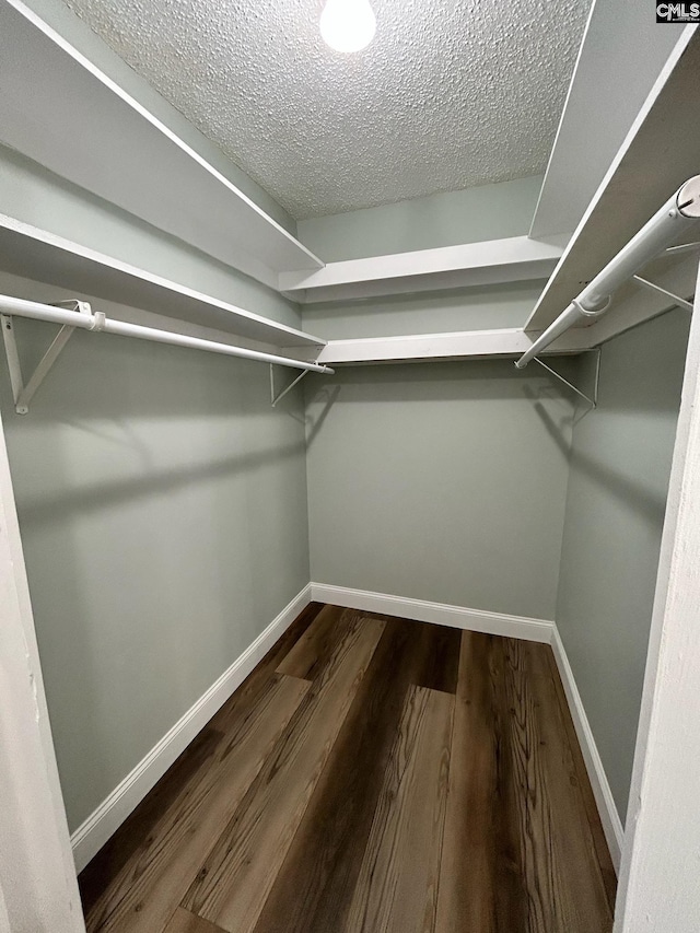 walk in closet with hardwood / wood-style flooring