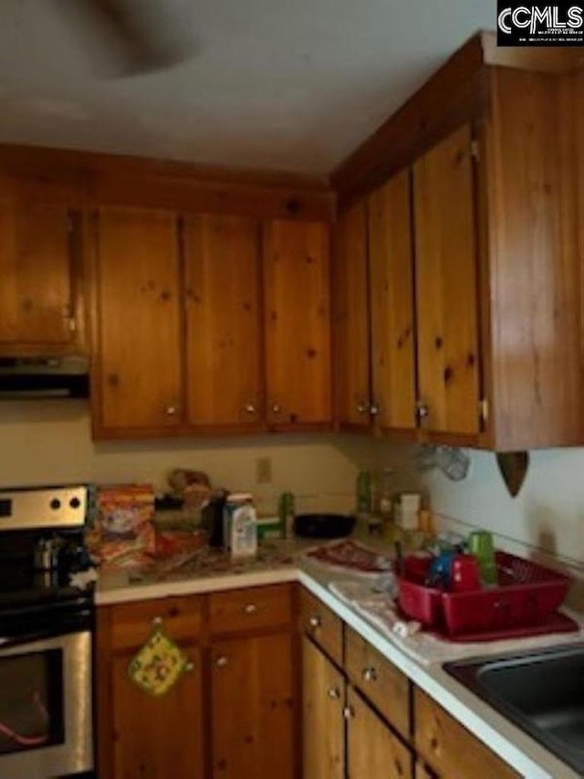 kitchen with sink, stainless steel range, and ventilation hood