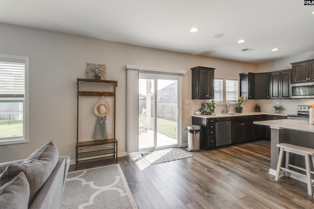 kitchen featuring a healthy amount of sunlight, stainless steel appliances, and dark hardwood / wood-style floors