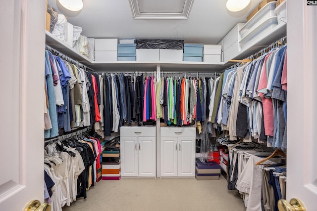 walk in closet with light colored carpet