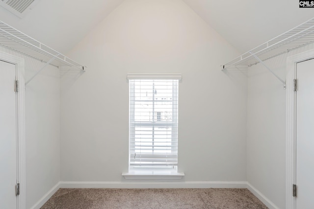 spacious closet featuring carpet and vaulted ceiling