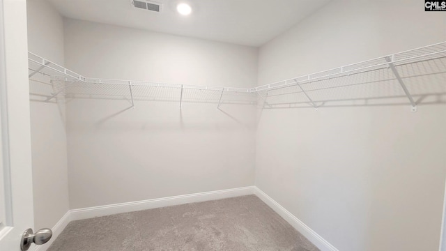 spacious closet featuring carpet flooring