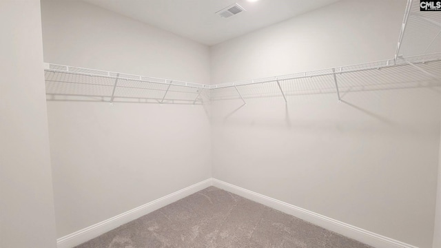 spacious closet with carpet flooring