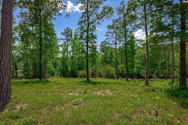 1626-01 Sumter Hwy Lot 1-2, Rembert, SC 29128