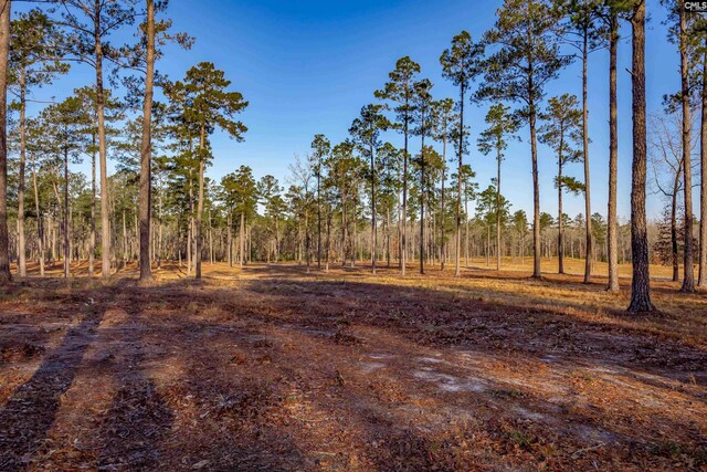 1626-01 Sumter Hwy Lot 1-2, Rembert, SC 29128