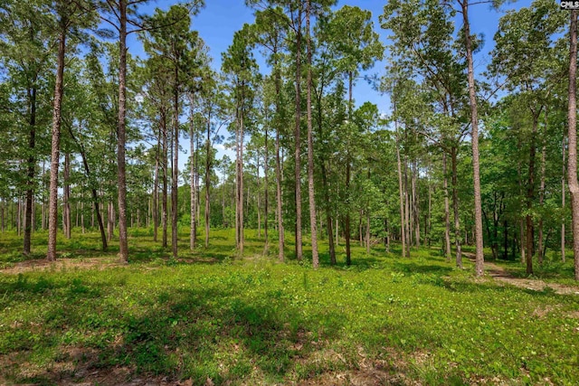 1626-01 Sumter Hwy Lot 1-2, Rembert, SC 29128