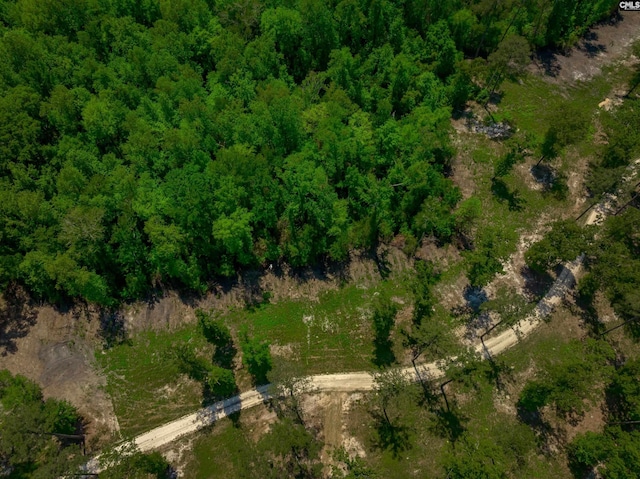 1626-01 Sumter Hwy Lot 1-2, Rembert, SC 29128