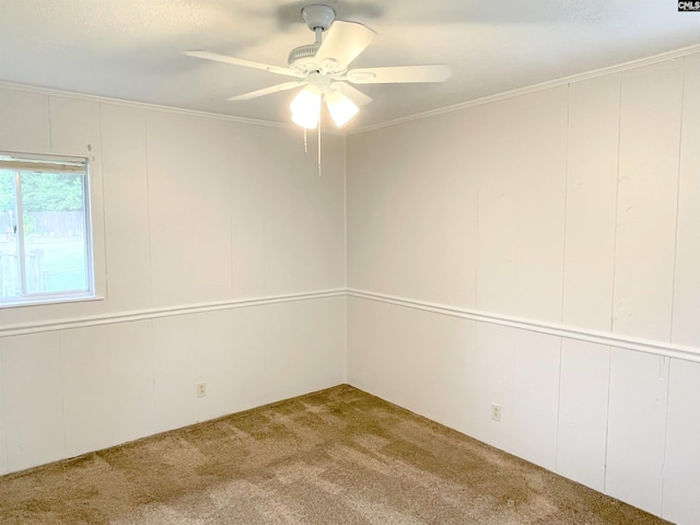 empty room with ceiling fan, carpet floors, and ornamental molding