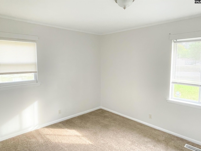 carpeted spare room with a healthy amount of sunlight and crown molding