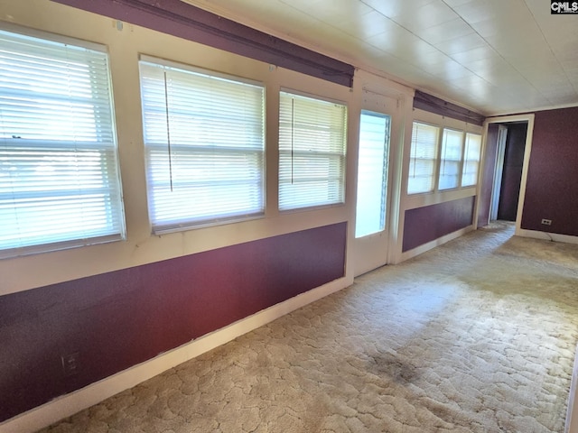 spare room with light carpet and a wealth of natural light