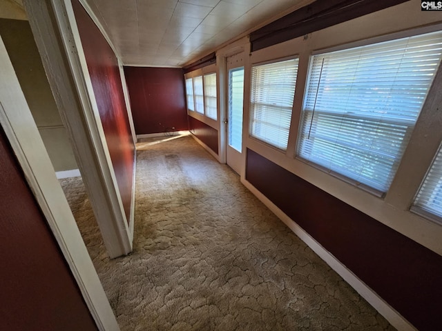 hallway with carpet flooring