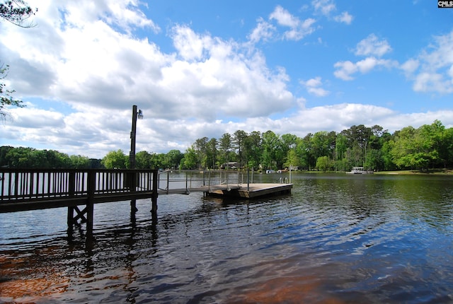 view of dock with a water view