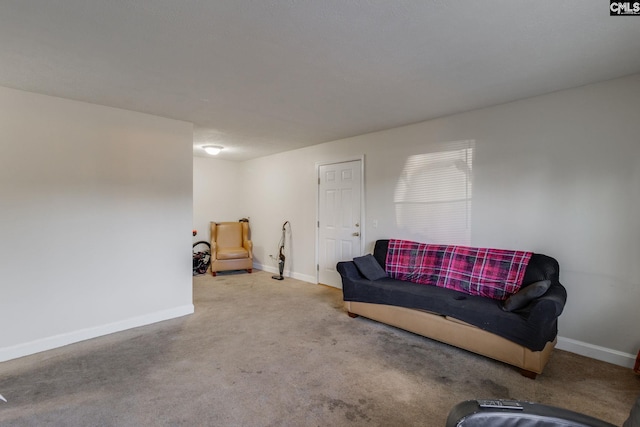 sitting room with carpet