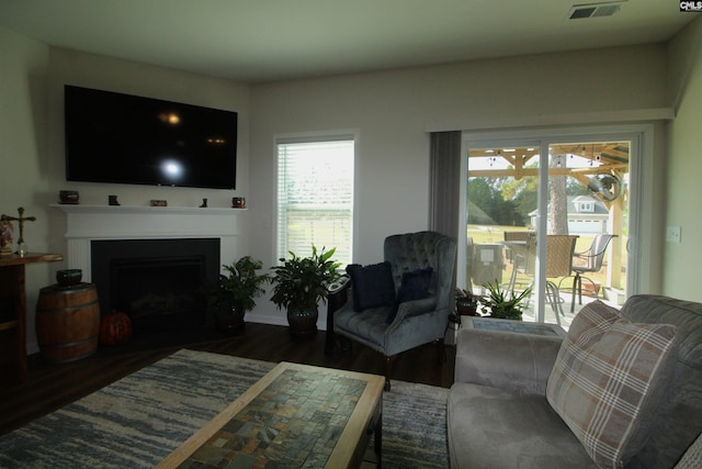 living room with dark hardwood / wood-style flooring