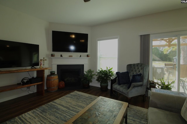 living room with dark hardwood / wood-style flooring