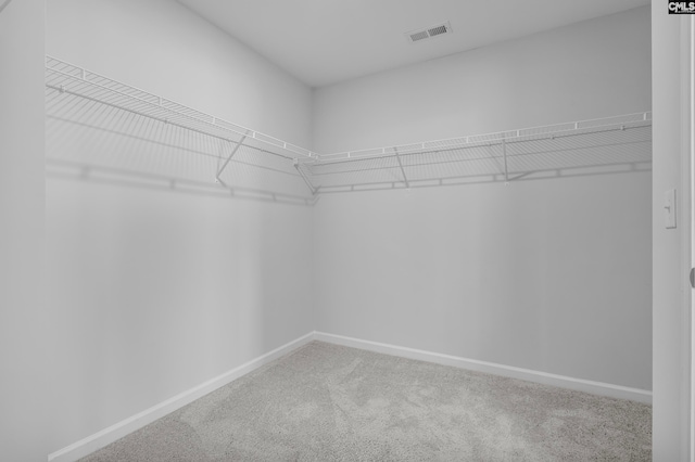 spacious closet featuring carpet floors