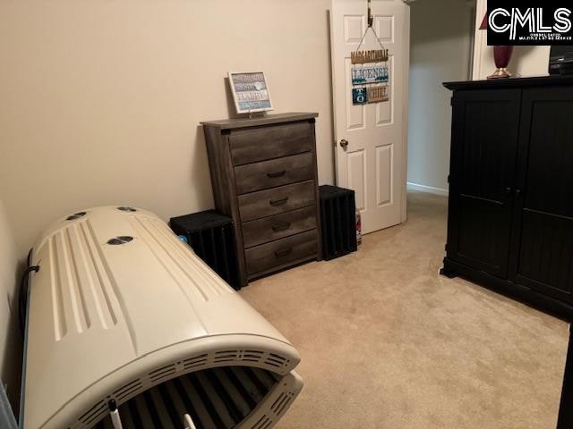 bedroom featuring light carpet