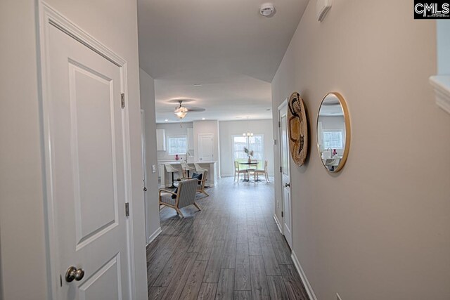 hall featuring dark wood-type flooring