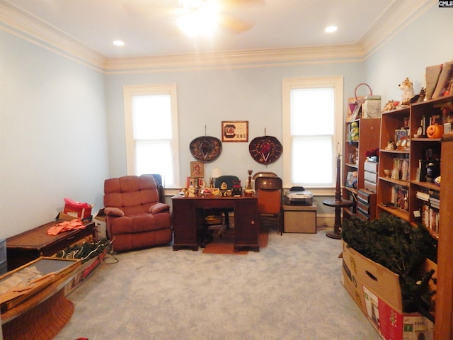 office space featuring carpet floors, ceiling fan, and crown molding