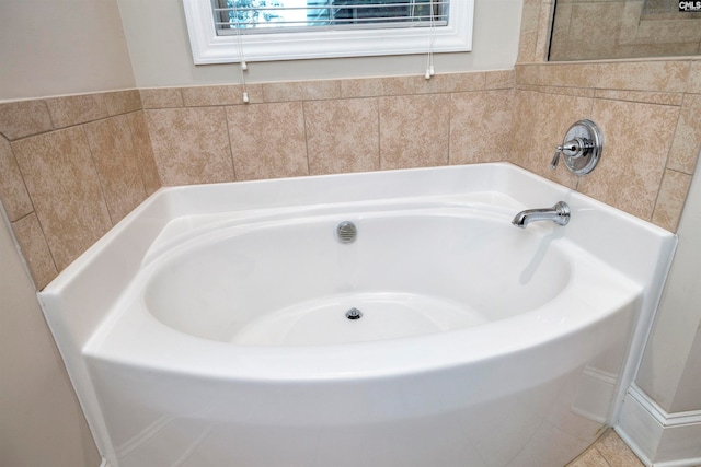 bathroom with a bathing tub