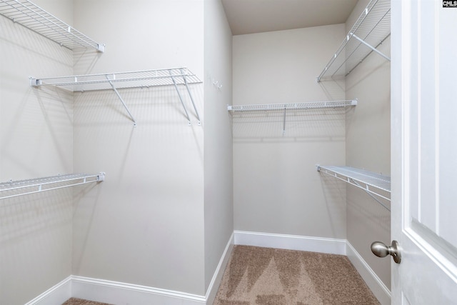 spacious closet with carpet flooring