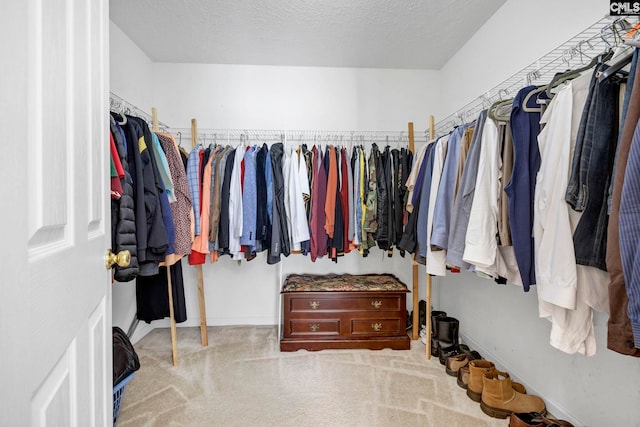 walk in closet featuring light carpet