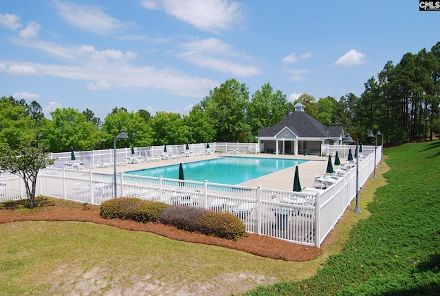 view of swimming pool with a yard