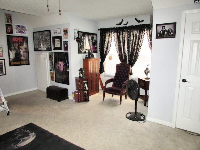 living area with carpet and a textured ceiling