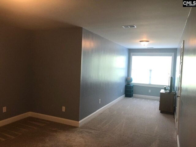 346 Arbor Oaks Ln, Irmo, SC 29063 - hall with carpet floors and baseboards