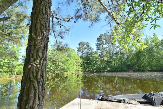 dock area with a water view